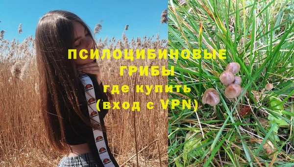 эйфоретик Беломорск