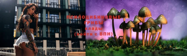 эйфоретик Беломорск