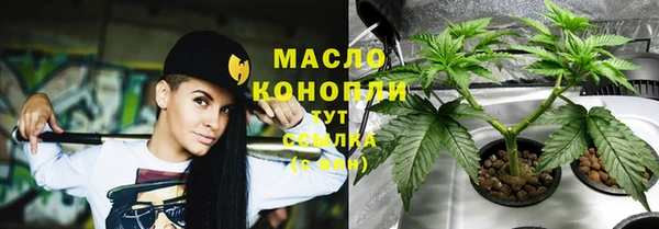 гидра Жердевка