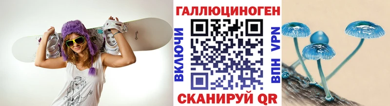 Псилоцибиновые грибы Psilocybe  Будённовск 