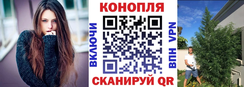 Бошки марихуана индика Будённовск